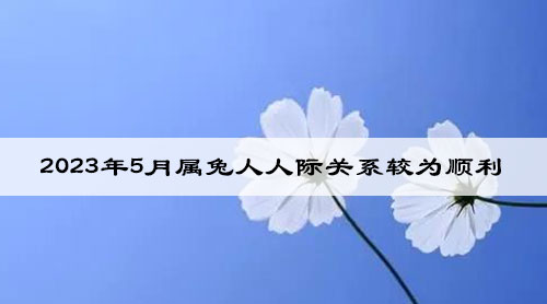 1682399656121687.jpg wenzhangimg1.jpg
