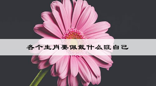 各个生肖要佩戴什么旺自己