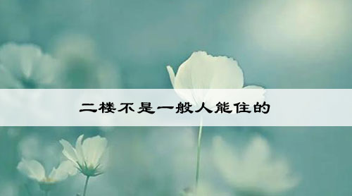 二楼不是一般人能住的