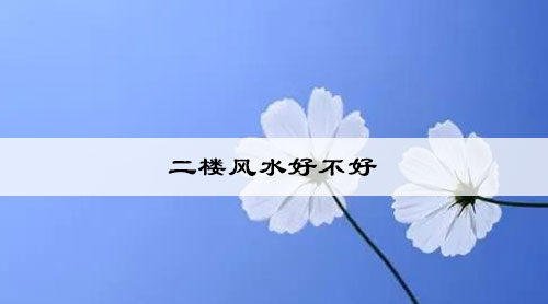 二楼不是一般人能住的