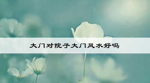 大门对院子大门风水好吗