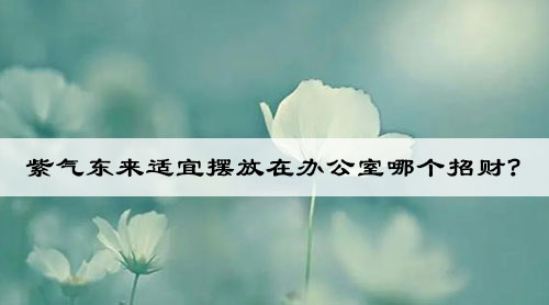 紫气东来适宜摆放在办公室哪个招财? 紫气东来适宜摆放在办公室哪个招财?