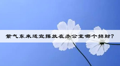 紫气东来适宜摆放在办公室哪个招财? 紫气东来适宜摆放在办公室哪个招财?