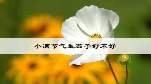 小满节气生孩子好不好