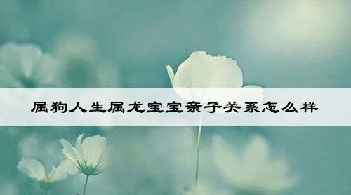 属狗人生属龙宝宝亲子关系怎么样