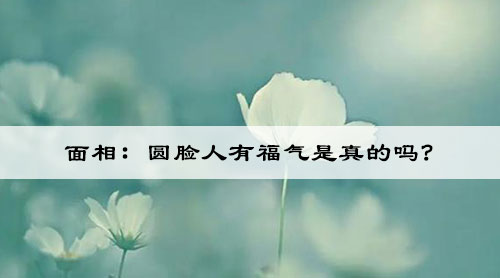 面相：圆脸人有福气是真的吗?
