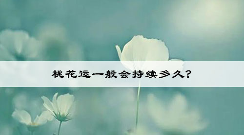 wenzhangimg.jpg