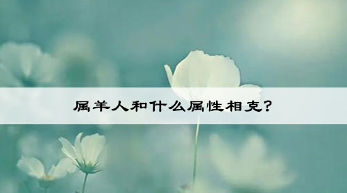 工作内容调整 一、网站方面 1、目前主站的关键词数量在减少，所以之前的操作并不适合，后面还是以高质量的文章更新，等网站稳定后再做其他。 2、二级域名目前已经有收录，计划大量更新项目搜索词和地区排名词（目前无法达到引流） 3、增加二级域名数量，做直接跳转单页面，大量堆词  二、视频方面 起名视频，按照城市来做的，目前更新的有天津、北京、上海、重庆、山东、河南、深圳，从播放量来看，效果一般，也在逐步更改模板和话题，接下来的一周继续更新地区相关的宝宝起名词，第三周计划换模板更新公司店铺起名视频。