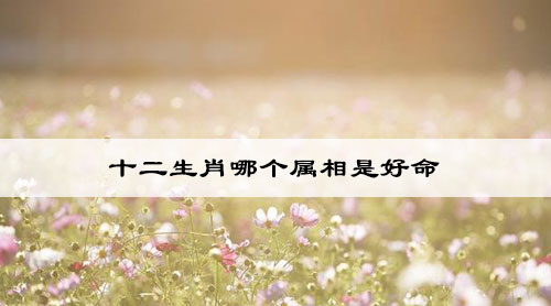 十二生肖哪个属相是好命
