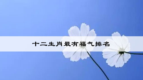 十二生肖最有福气排名