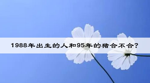 1988年出生的戊辰龙有什么特点?