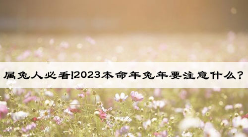 属兔人必看!2023本命年兔年要注意什么?