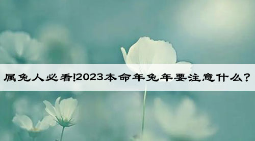 属兔人必看!2023本命年兔年要注意什么?