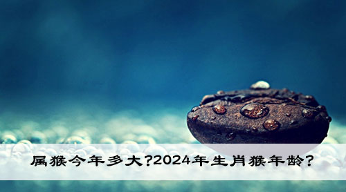属猴的人在2024年多大?