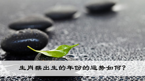 生肖猴出生的年份的运势如何?