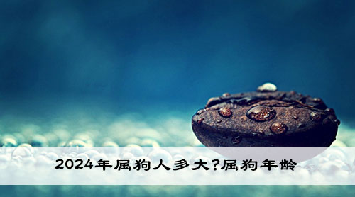 wenzhangimg.jpg