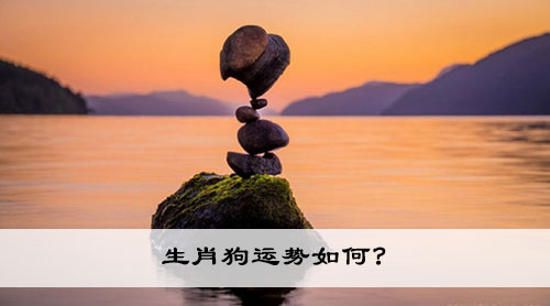 生肖狗运势如何?