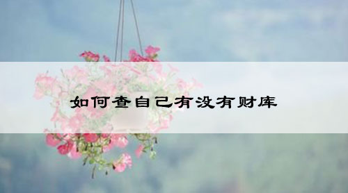 如何查自己有没有财库