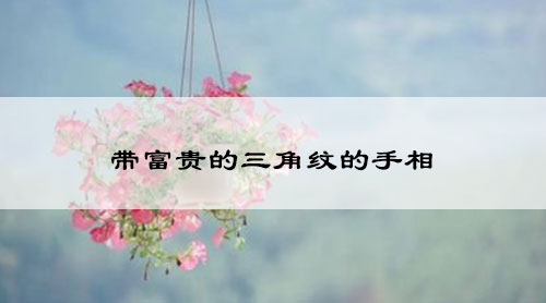 带富贵的三角纹的手相