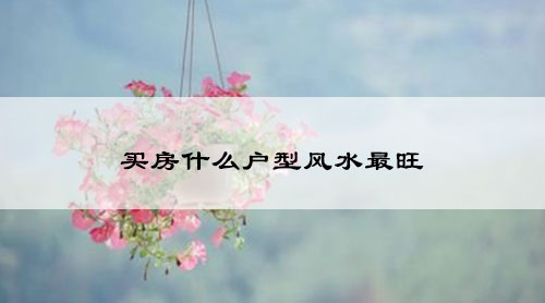 买房什么户型风水最旺