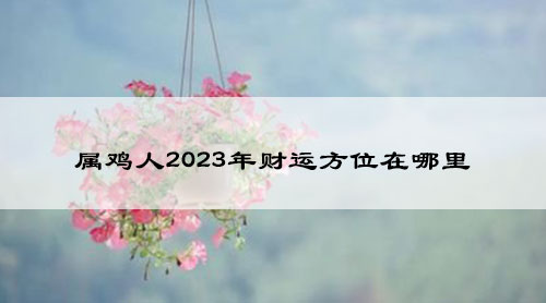 属鸡人2023年财运方位在哪里