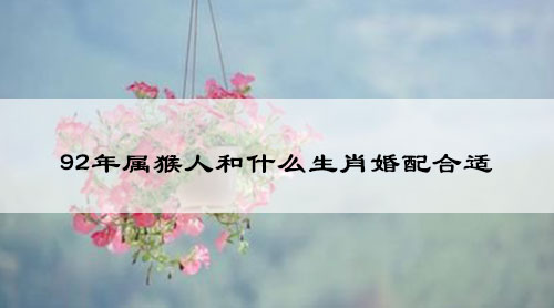 92年属猴人和什么生肖婚配合适