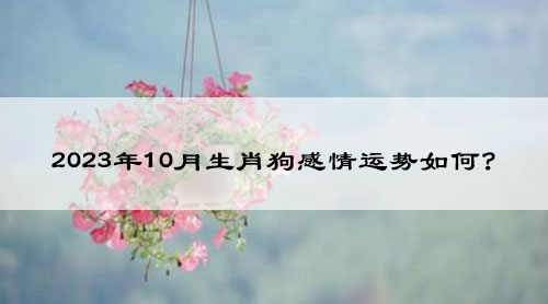 2023年10月生肖狗感情运势如何?