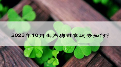 2023年10月生肖狗财富运势如何?