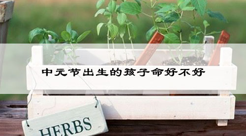 中元节出生的孩子命好不好
