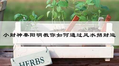 小财神秦阳明教你如何通过风水招财运