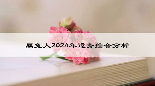 属兔人2024年运势综合分析