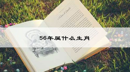 56年属什么生肖