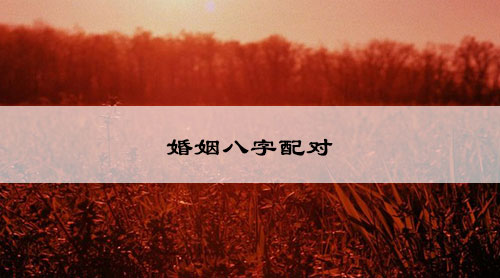 婚姻八字配对