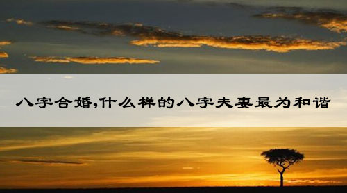 八字合婚,什么样的八字夫妻最为和谐