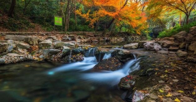 天津风水大师