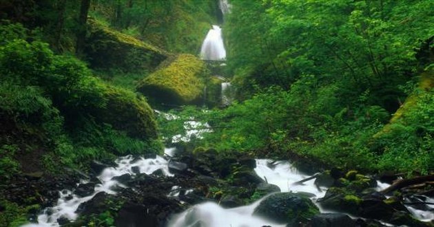 天津风水大师
