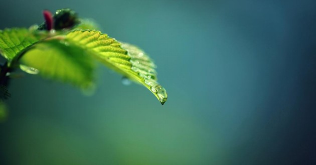 上海风水大师