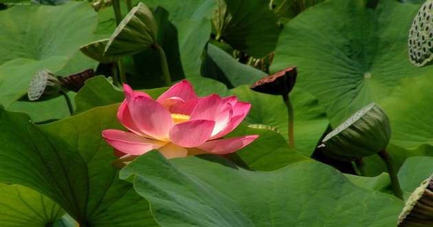 上海风水大师