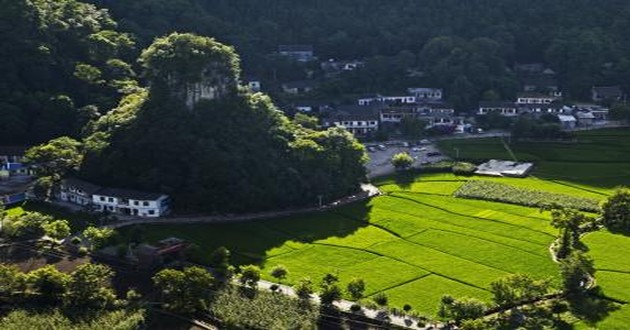 上海风水大师