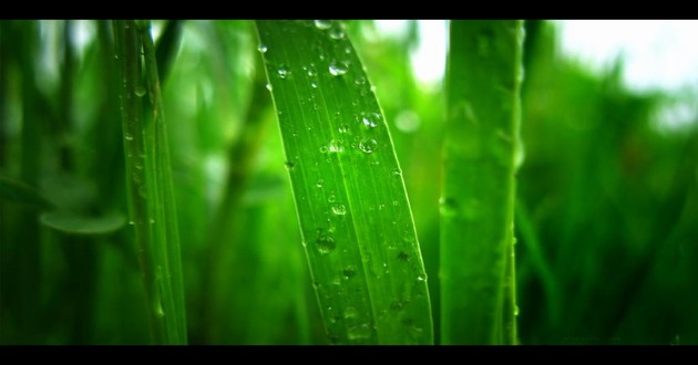 河南起名大师