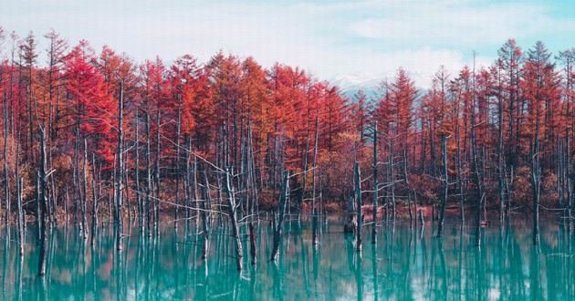 上海风水大师