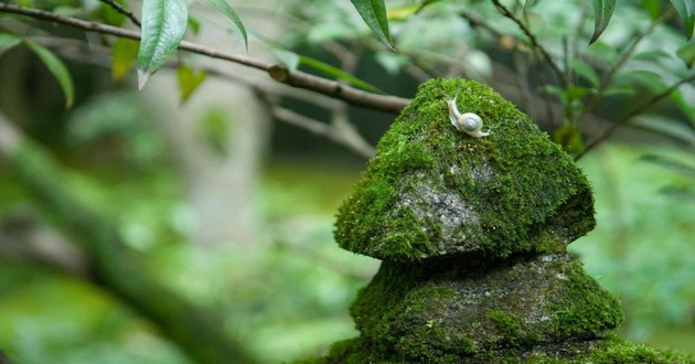上海风水大师
