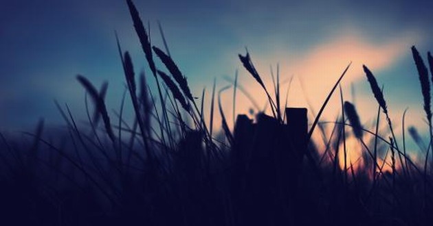 上海风水大师