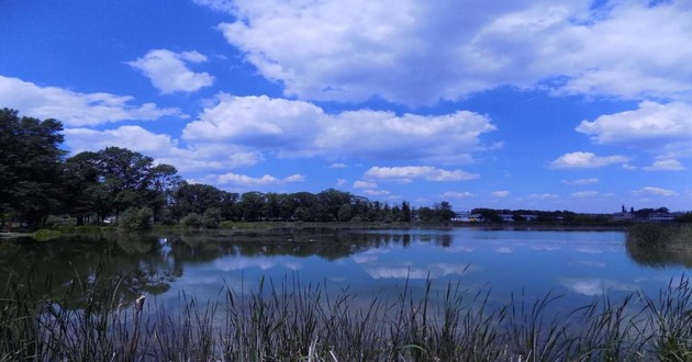 上海风水大师
