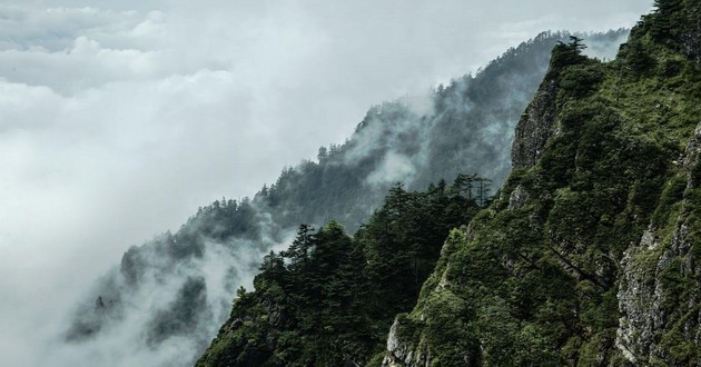 上海风水大师