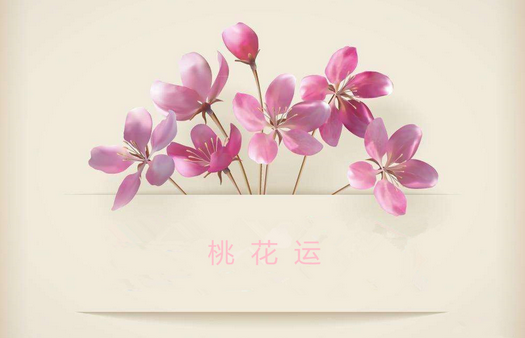 2019年生肖蛇今年桃花运 什么生肖最旺蛇