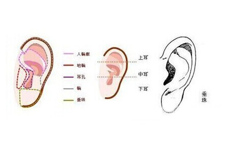 事业好的6大面相分析,看看自己符合哪些