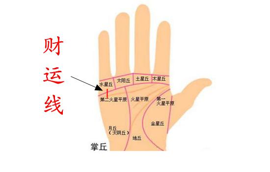 周易命理大师讲解没有财运线怎么办?