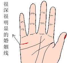 错把感情线当婚姻线,其实真正的婚姻线知道吗?
