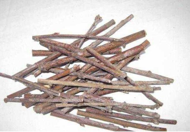 风水大师教你如何强化自身风水,超级简单!